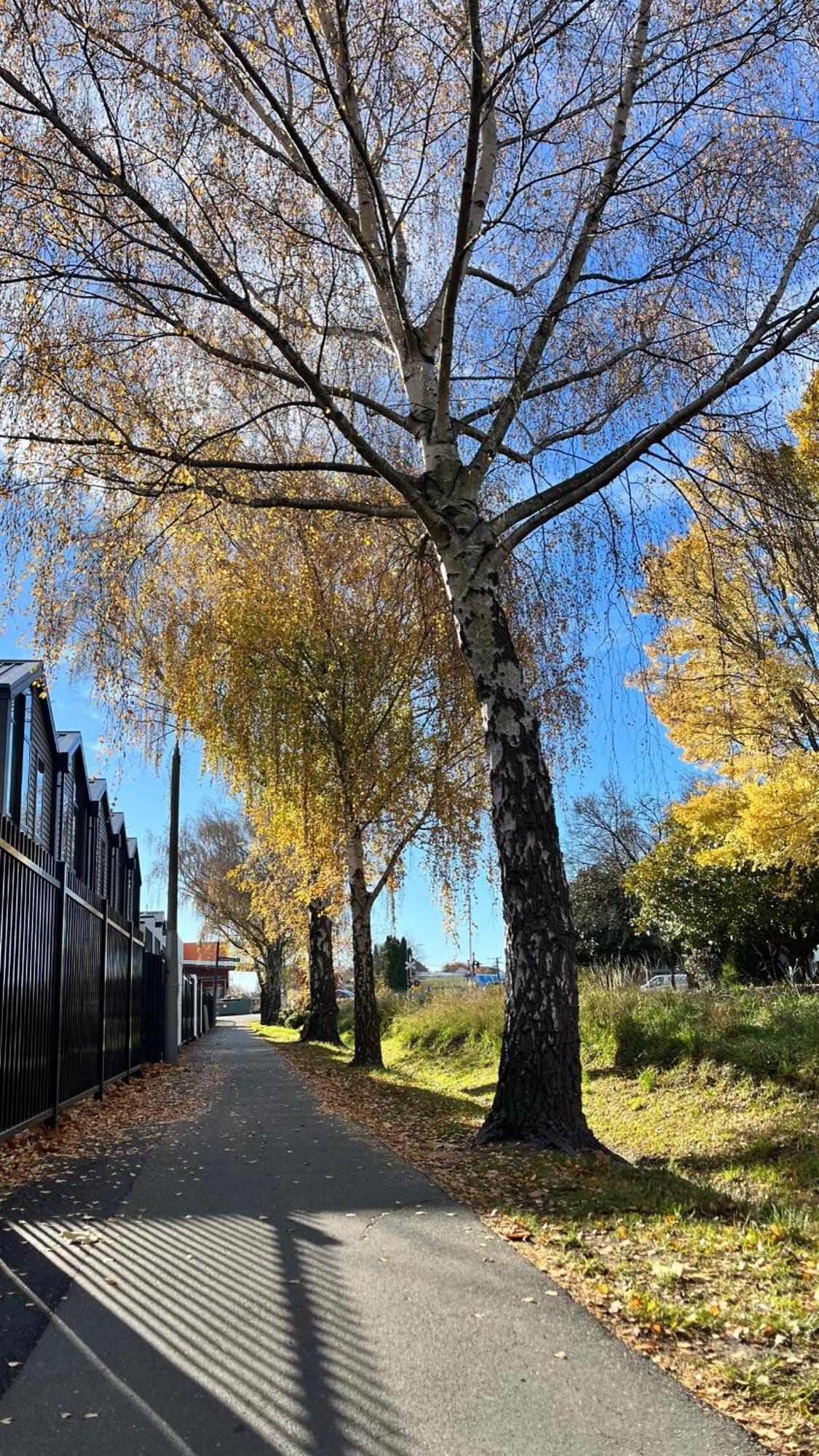 Luxury 2 Bedroom By St James Park Christchurch Buitenkant foto