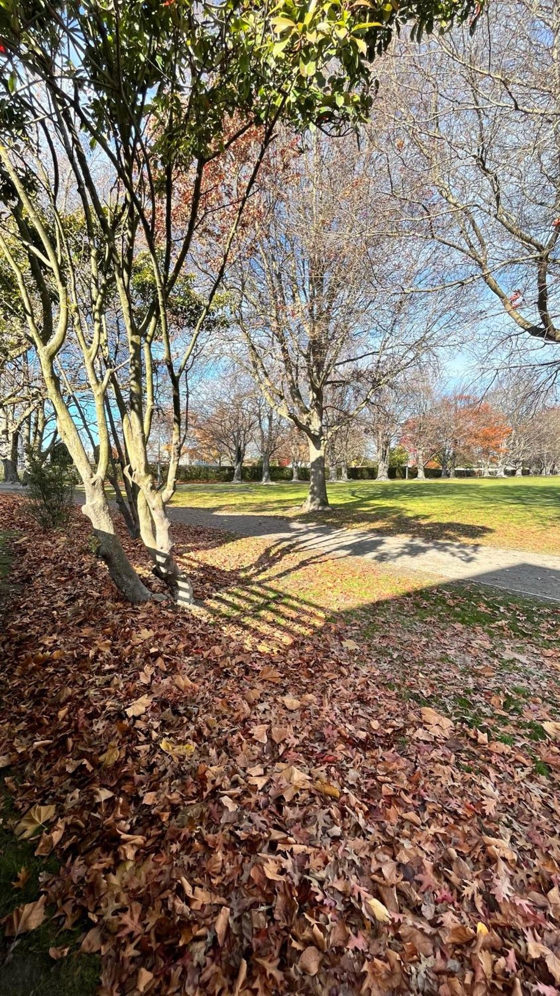 Luxury 2 Bedroom By St James Park Christchurch Buitenkant foto